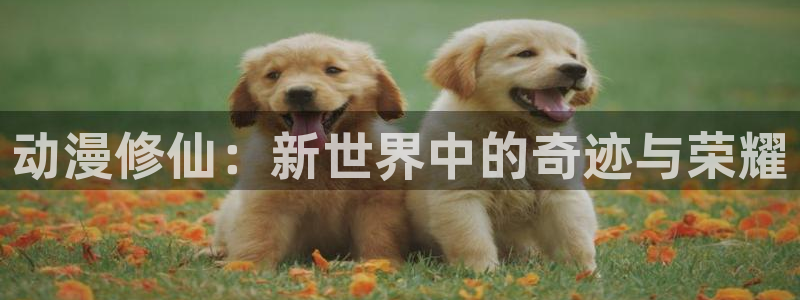 打开抖漫：动漫修仙：新世界中的奇迹与荣耀