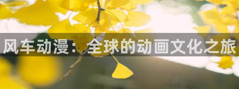抖漫出品的动漫有哪些：风车动漫：全球的动画文化之旅