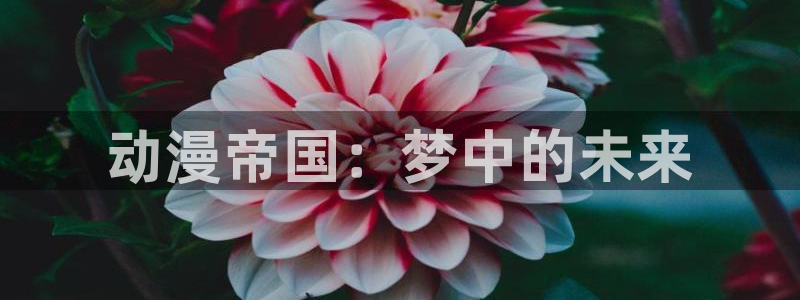 抖漫免费观看入口：动漫帝国：梦中的未来